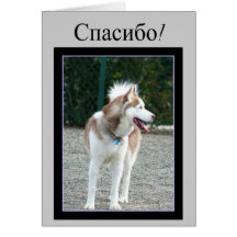 Спасибо le agradece tarjeta de felicitación del hu