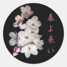募金用 , Cherry blossoms , 桜 シール