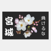 募金用 , Cherry blossoms , 桜 シール