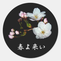 募金用 , Cherry blossoms , 桜 シール・ステッカー