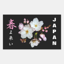 募金用 , Cherry blossoms , 桜 シール・ステッカー