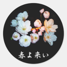 募金用 , Cherry blossoms , 桜 シール・ステッカー