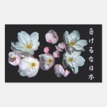 募金用 , Cherry blossoms , 桜 シール・ステッカー