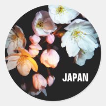 募金用 , Cherry blossoms , 桜 シール・ステッカー