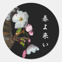 募金用 , Cherry blossoms , 桜 シール・ステッカー