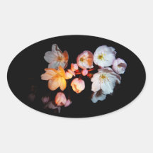 募金用 , Cherry blossoms , 桜 卵形シール・ステッカー