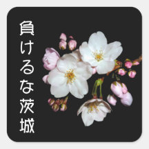 募金用 , Cherry blossoms , 桜 正方形シール・ステッカー