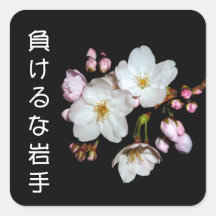 募金用 , Cherry blossoms , 桜 正方形シール・ステッカー