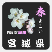 募金用 , Cherry blossoms , 桜 正方形シール・ステッカー