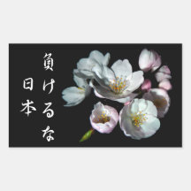 募金用 , Cherry blossoms , 桜 長方形シールステッカー