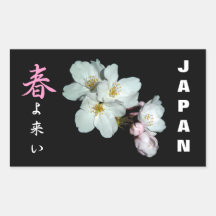 募金用 , Cherry blossoms , 桜 長方形シール・ステッカー
