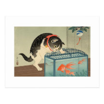 猫と金魚, gato y Goldfish, Koson, Ukiyo-e del 古邨 Tarjetas Postales