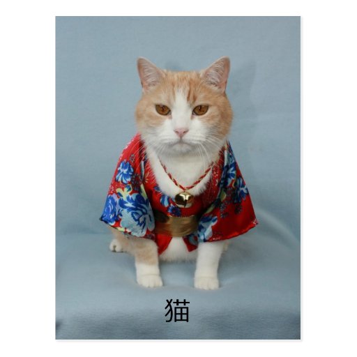 猫 TARJETA POSTAL