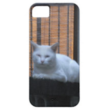 薄目しろにゃんこケース iPhone 5 COVER