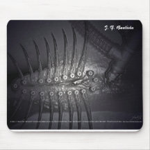 003-Implants., J.F. Bautista, Tapetes De Ratones