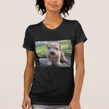 004 CAMISETAS