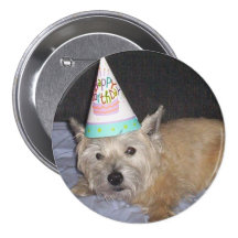 011 prebirthday - Modificado para requisitos parti Pin