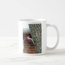 012510-6-ACM TAZA