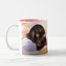 01Image7, 01Image7 Taza