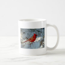 021910-179-ACM TAZAS