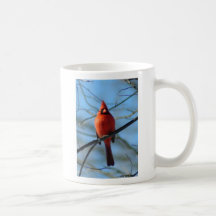 030110-9 TAZAS