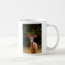 070306-34-ACM TAZAS