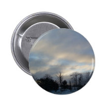 11 de enero de 2010 pin