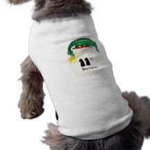 11mo Dragón del cumpleaños Ropa Macota