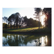 11x14 promueve el parque - comida campestre con lo impresiones fotograficas