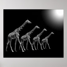 123B ÁRBOLES B&W (30X24) POSTER