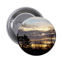 12 de enero de 2010 pin