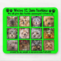 12 YORKIES LINDOS - Mousepad modificó para requisi Tapetes De Raton