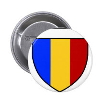 12mo División de Infanterie Pins