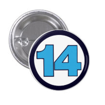 14 fantásticos pin
