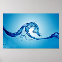 14 POSTERS