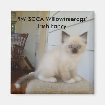 178, suposición irlandesa de RW SGCA Willowtreerag Imanes Para Frigoríficos