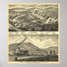 1875 Stewart, pájaros del OH observa el mapa panor Impresiones