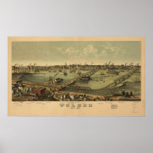 1876 los pájaros de Toledo, OH observan el mapa pa Impresiones