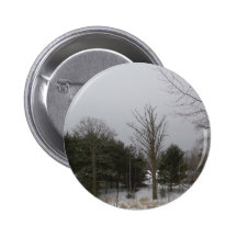 19 de enero de 2010 pins