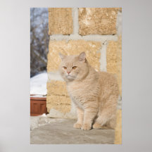 1 POSTER