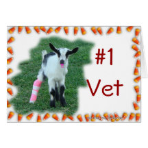 #1Vet--modifique cualquier ocasión y cualquier per Felicitacion