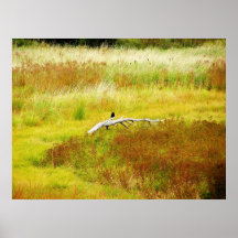 2009_Maine_Autumn_104 Poster