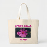 2013 - VACACIONES DE PRIMAVERA - bolso Bolsas De Mano