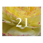 21ro Cumpleaños Postal