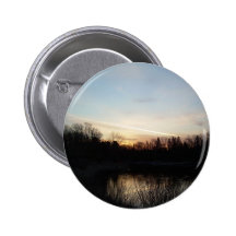 22 de marzo de 2010 pin