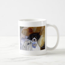 24112008164 TAZA