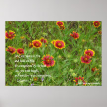 2:7 combinado indio de Colossians de los Wildflowe Poster