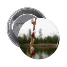 2 de abril de 2010 pin