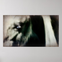 2 equinos abstractos posters