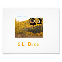 2 pájaros de Lil Fotos